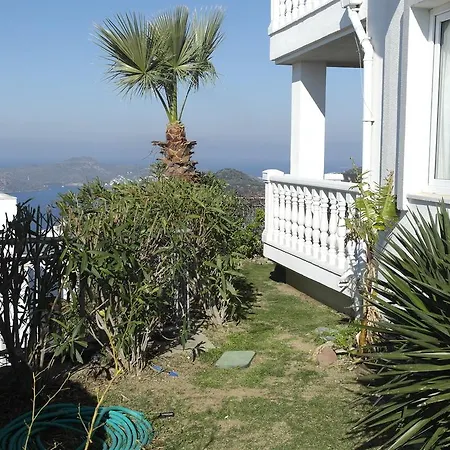 Seaview